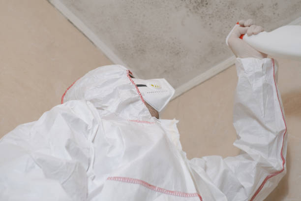 Best Mold Testing  in Redan, GA