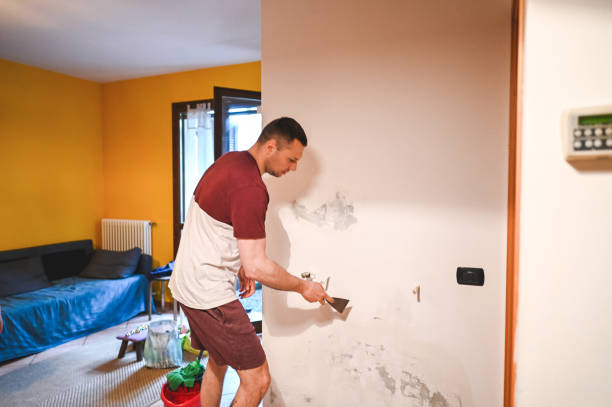 Mold Removal and Inspection in Redan, GA
